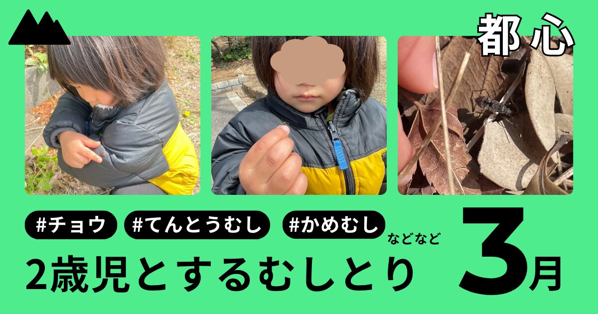 2歳児とするむしとり