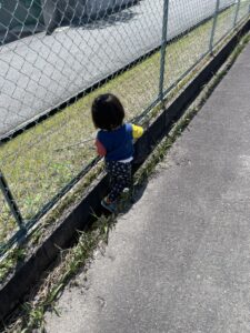 虫網をくぐるアスレチックを作る我が子