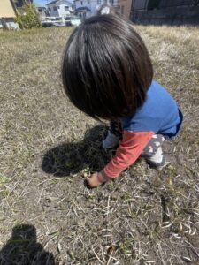 空き地できのこ見つけた！