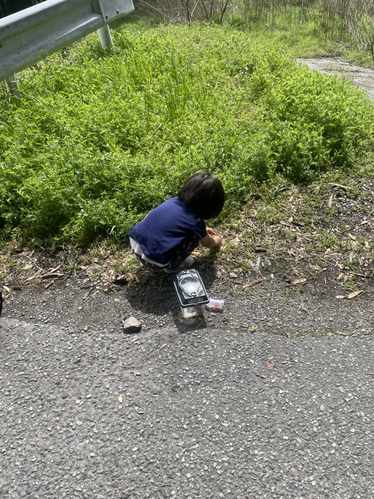 虫かごと2歳のちーくん。夢中でありや小さい虫を追いかけていた。