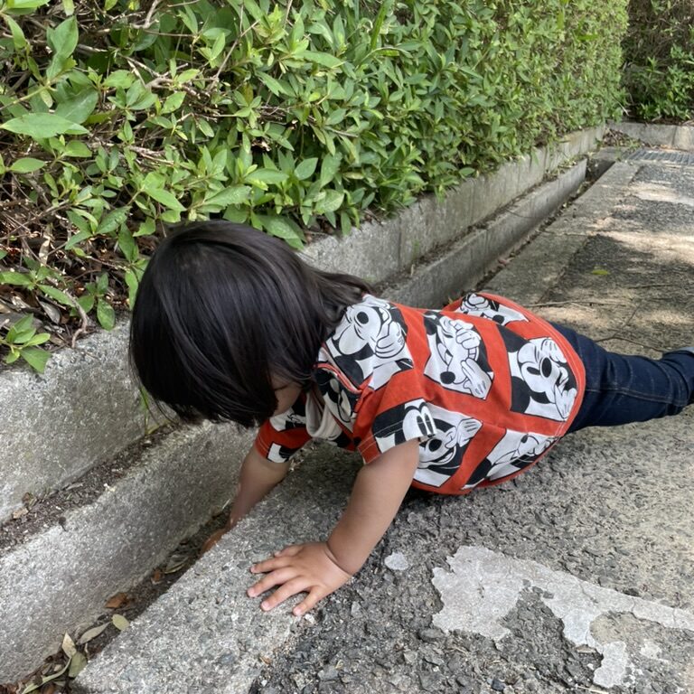 自然の中で何かを探す子ども