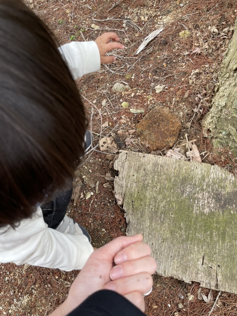 一緒にダンゴムシとか小さい虫をさがす
