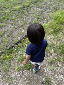 探検！虫さんいるかな？