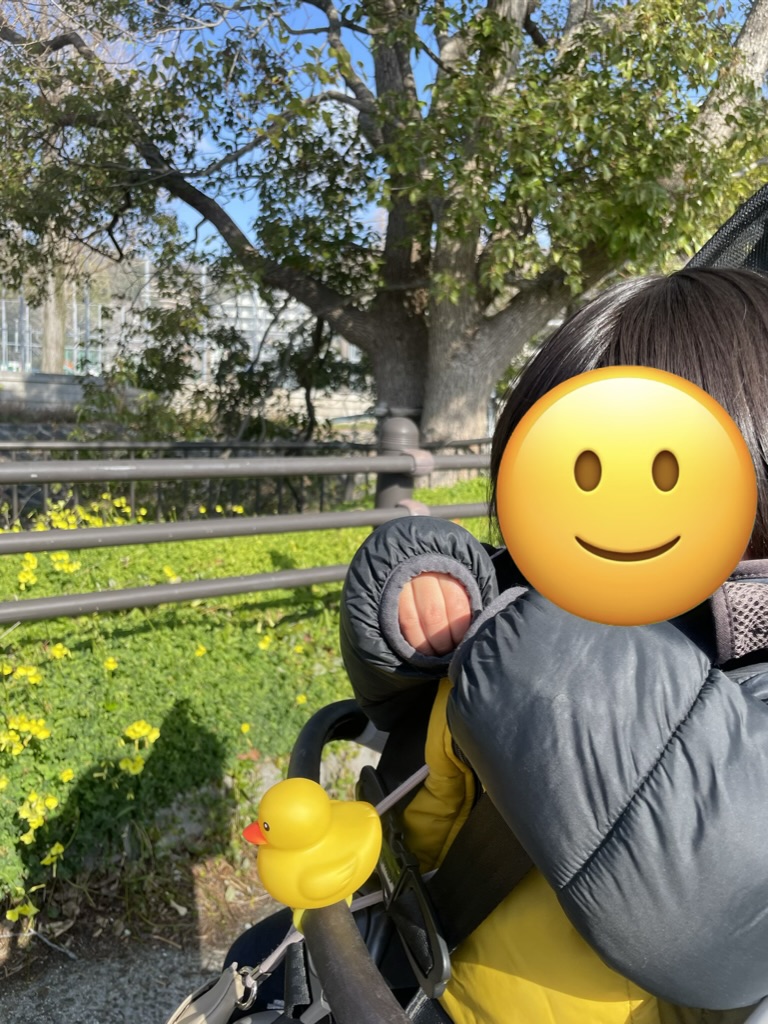 ちーくんと一緒にオオキバナカタバミを観察している様子