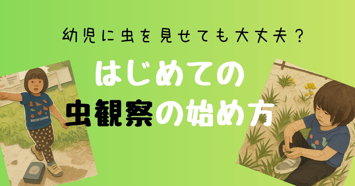 虫との関わり方。幼児でも大丈夫？