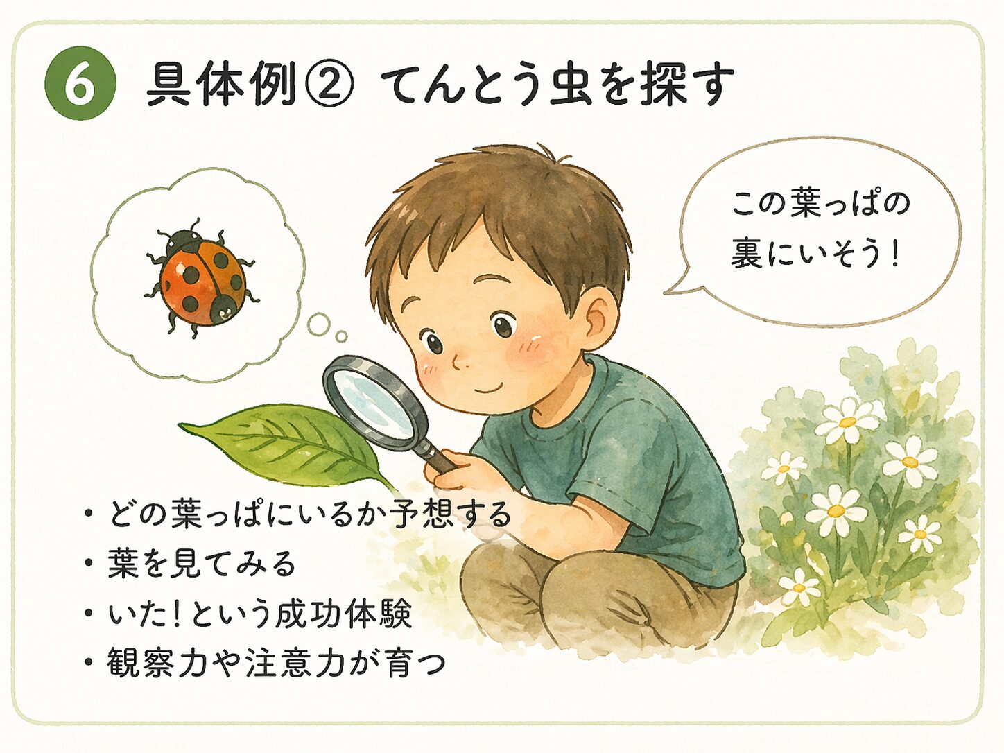 具体例・てんとう虫