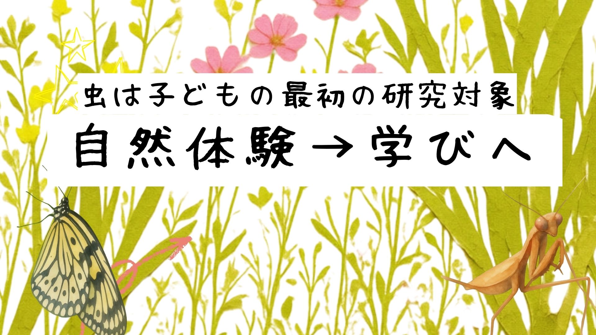虫から学ぶ。虫は最高の教材だった