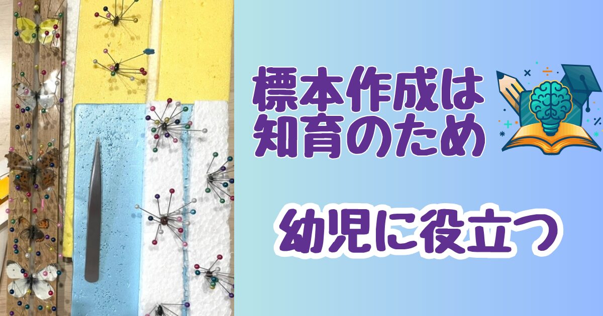 標本作成は知育に役立つ