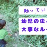 より虫と触れ合うために