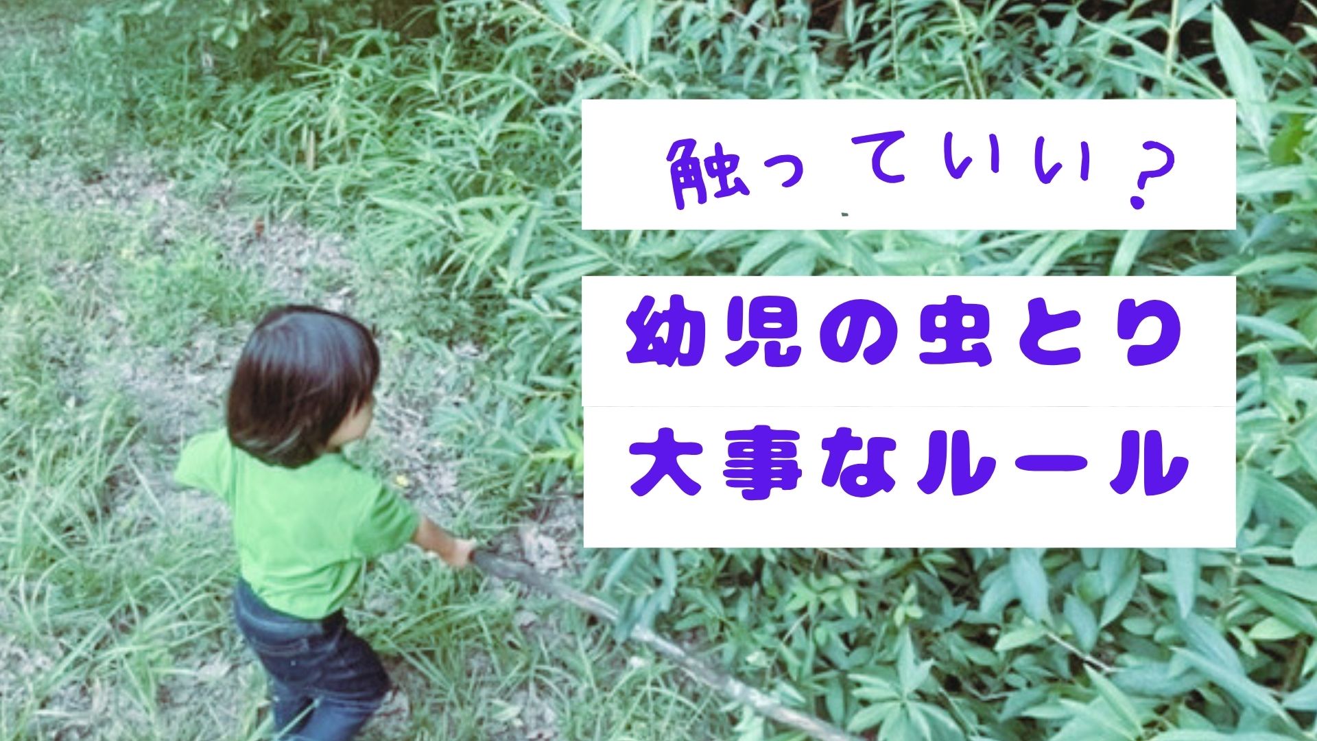 より虫と触れ合うために