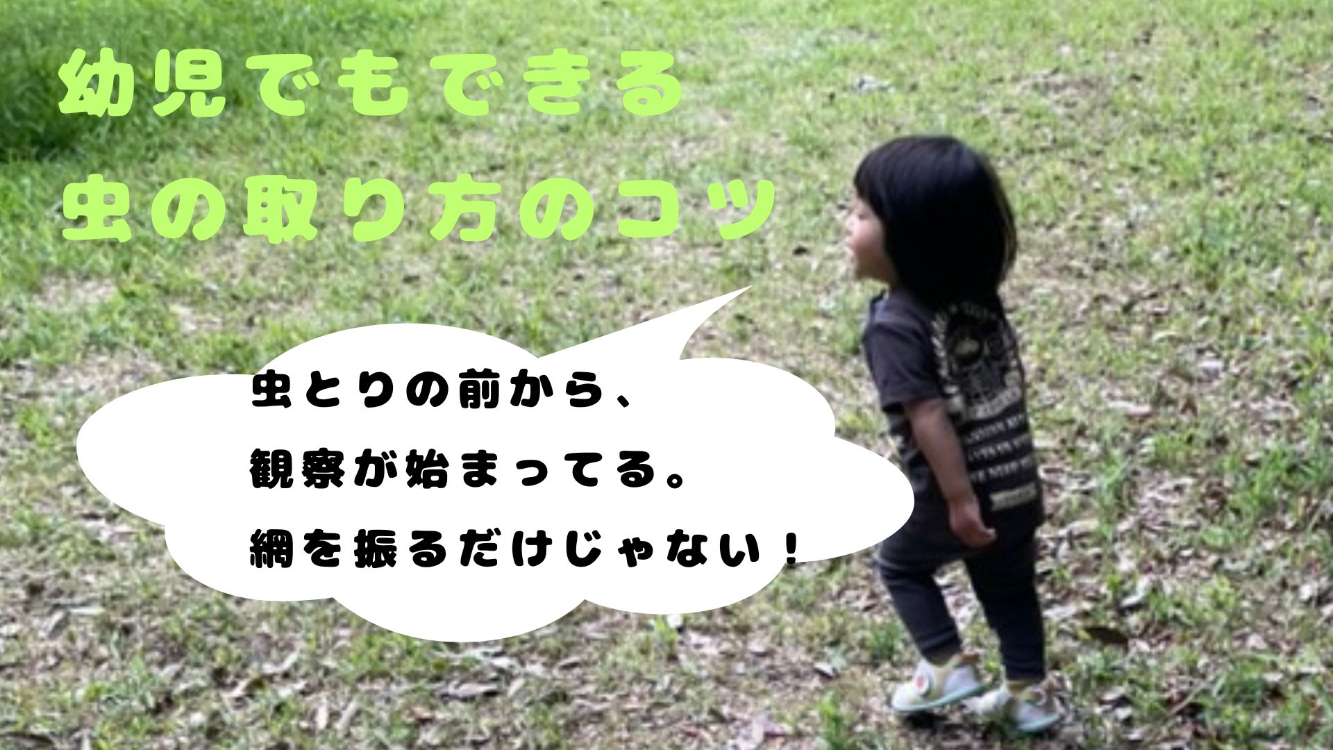 虫を取る前に観察する