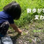 しゃがむだけで変わる。幼児との散歩が“学び時間”になる方法