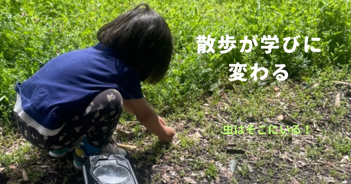 しゃがむだけで変わる。幼児との散歩が“学び時間”になる方法