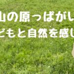 自然で子どもは何を見る？