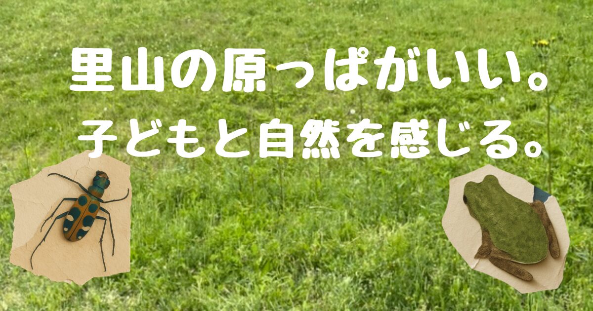 自然で子どもは何を見る？