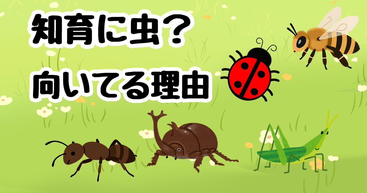 なぜ、知育に虫？向いてる理由を説明します。