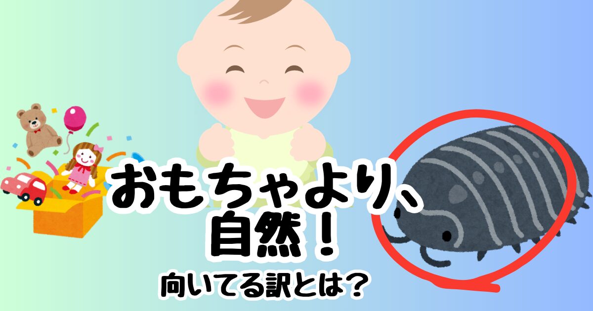 おもちゃより自然の方が、教育にいい。なぜなのか理由を説明します。
