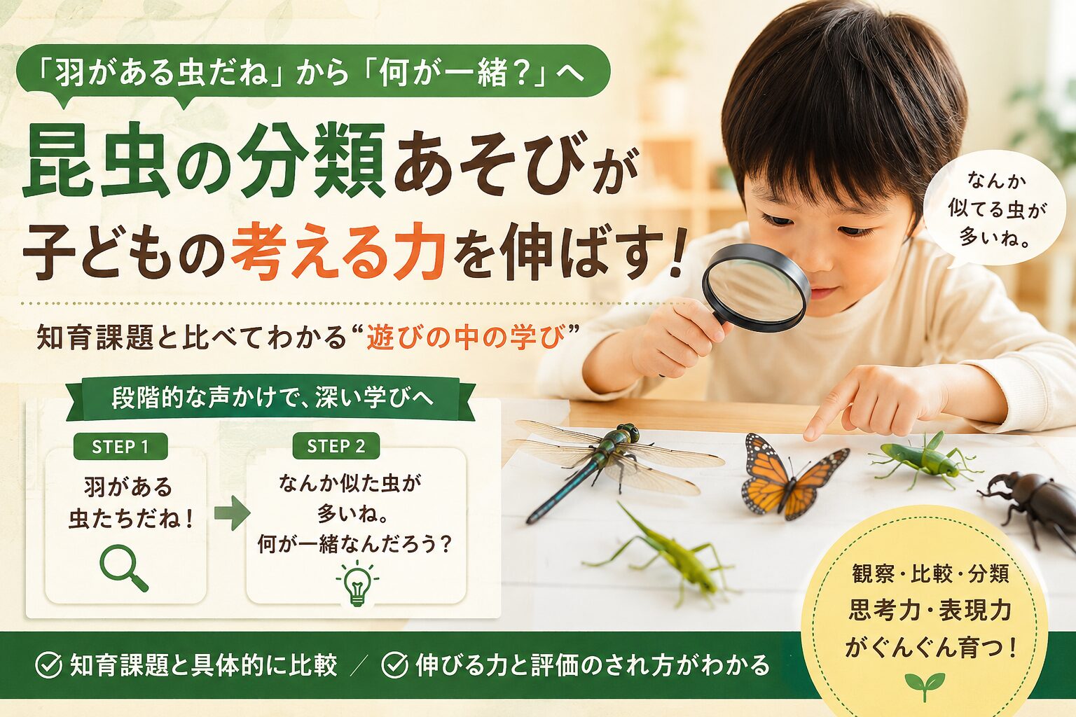昆虫の分類遊び