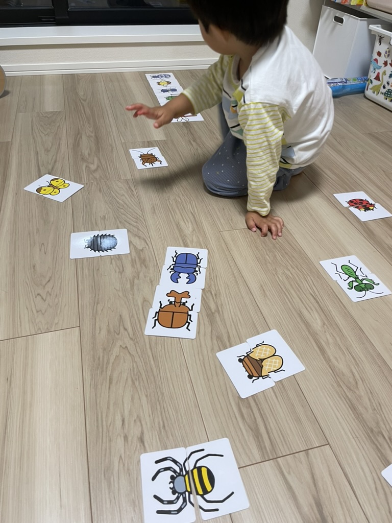 順番に並べ終わった後、住んでいる場所で分けてみた