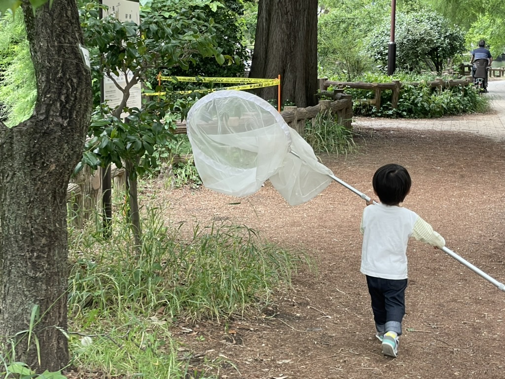 石神井公園で大きい虫網をふるう2歳児