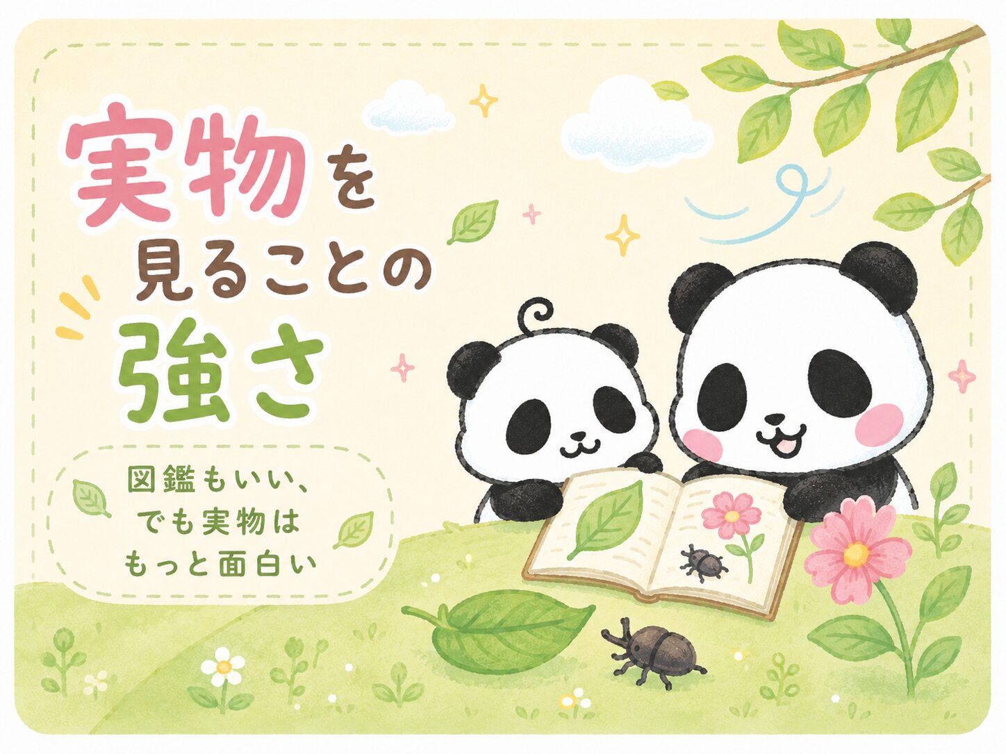 実物を見ることの強さ
