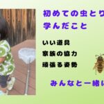 初めての虫とり大会