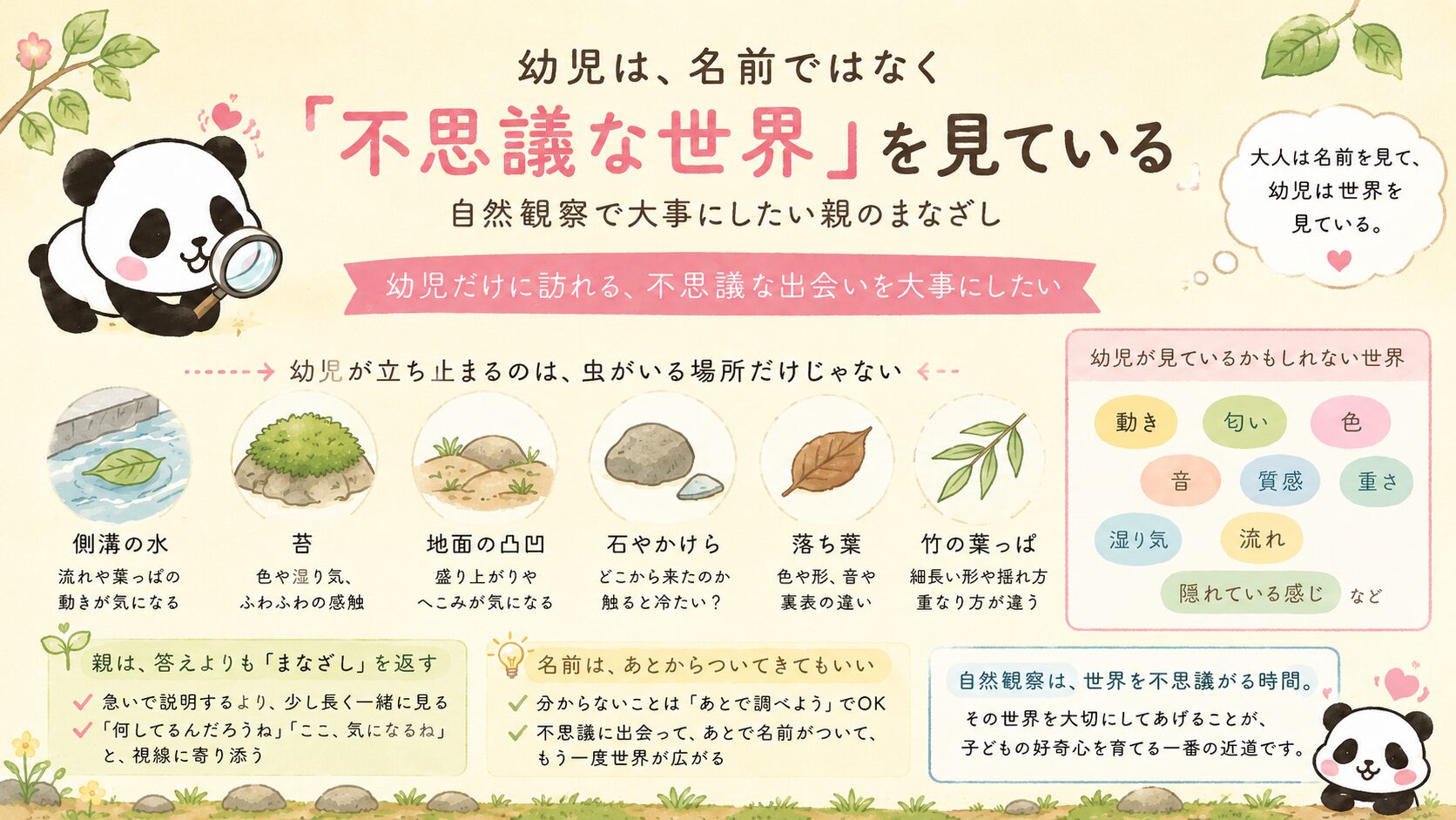 幼児は、名前ではなく「不思議な世界」を見ている｜自然観察で大事にしたい親のまなざし