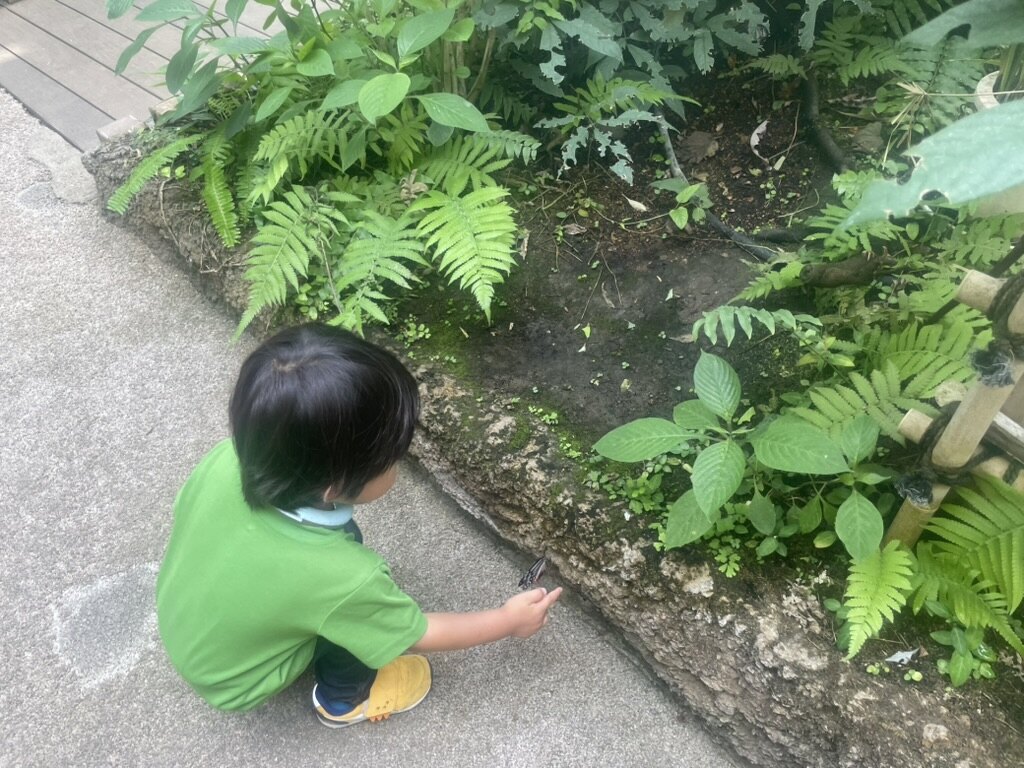 元渕江公園に到着した幼児