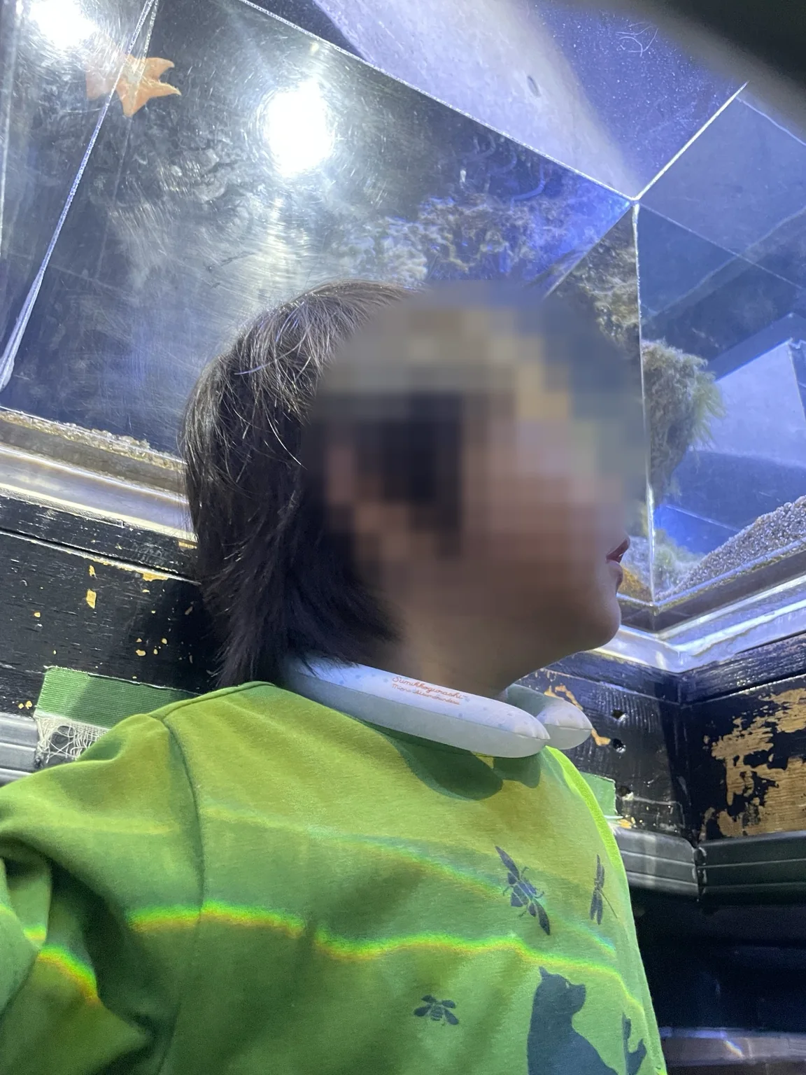 水槽の中を見上げる幼児