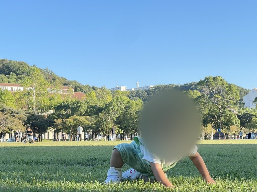 芝生をハイハイする1歳児