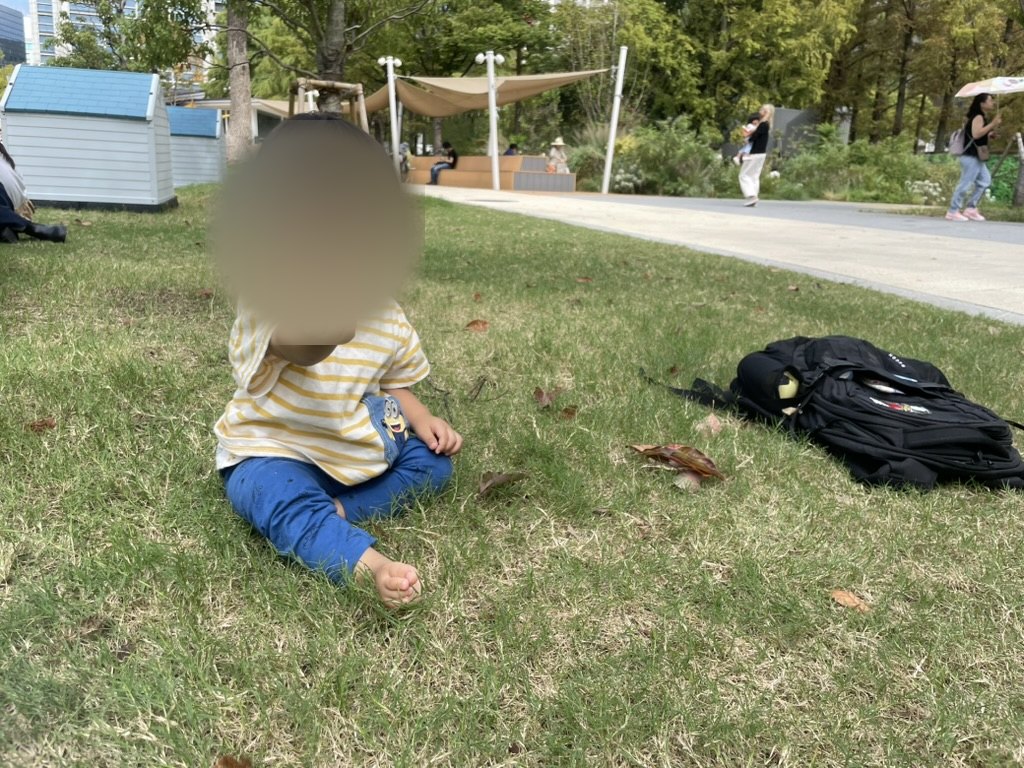 芝生に座って細い草を観察する1歳児