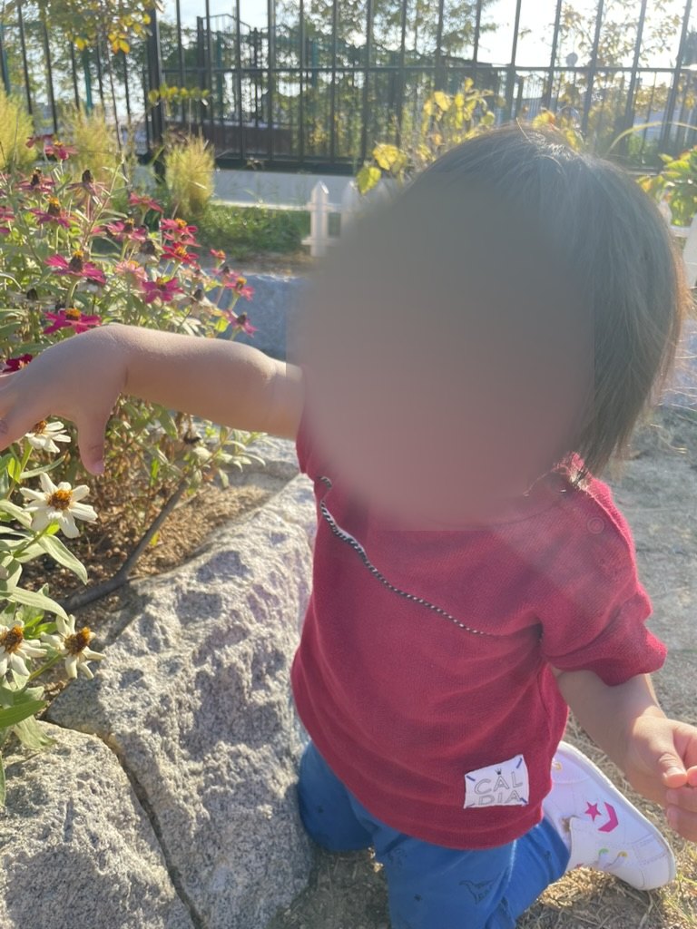 公園の花に手を伸ばす1歳児