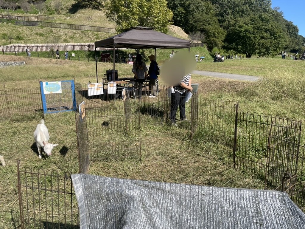抱っこされながらヤギを見る1歳児