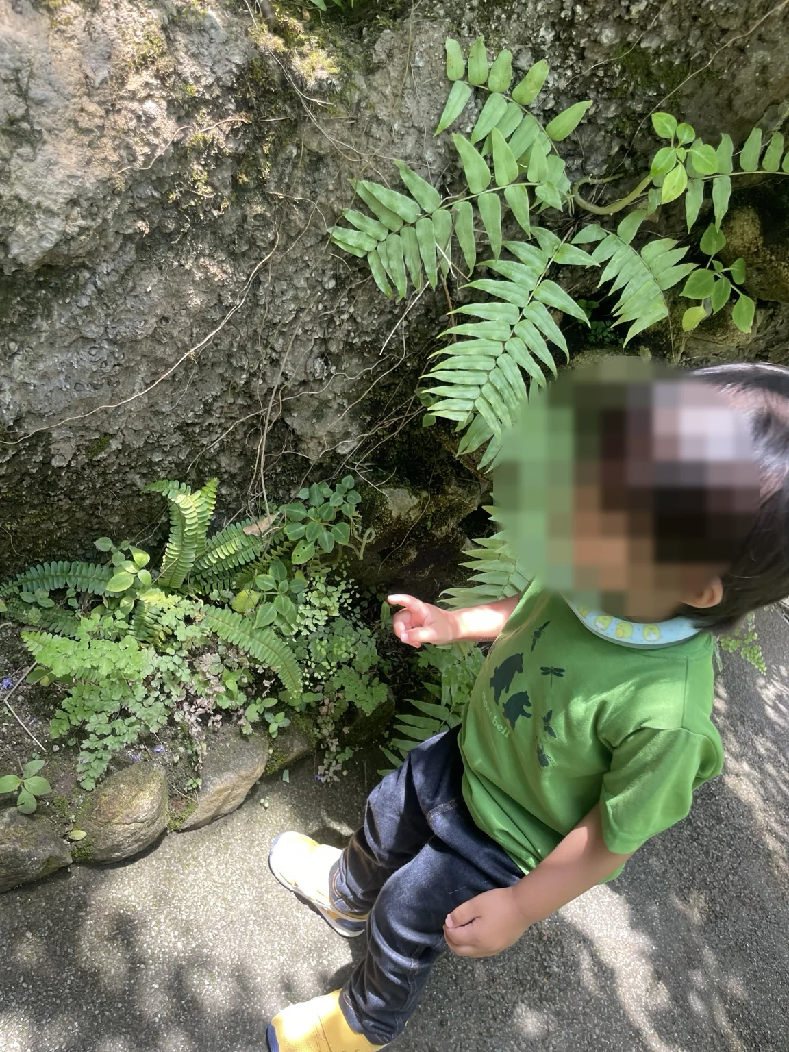 ちょうちょを探す幼児