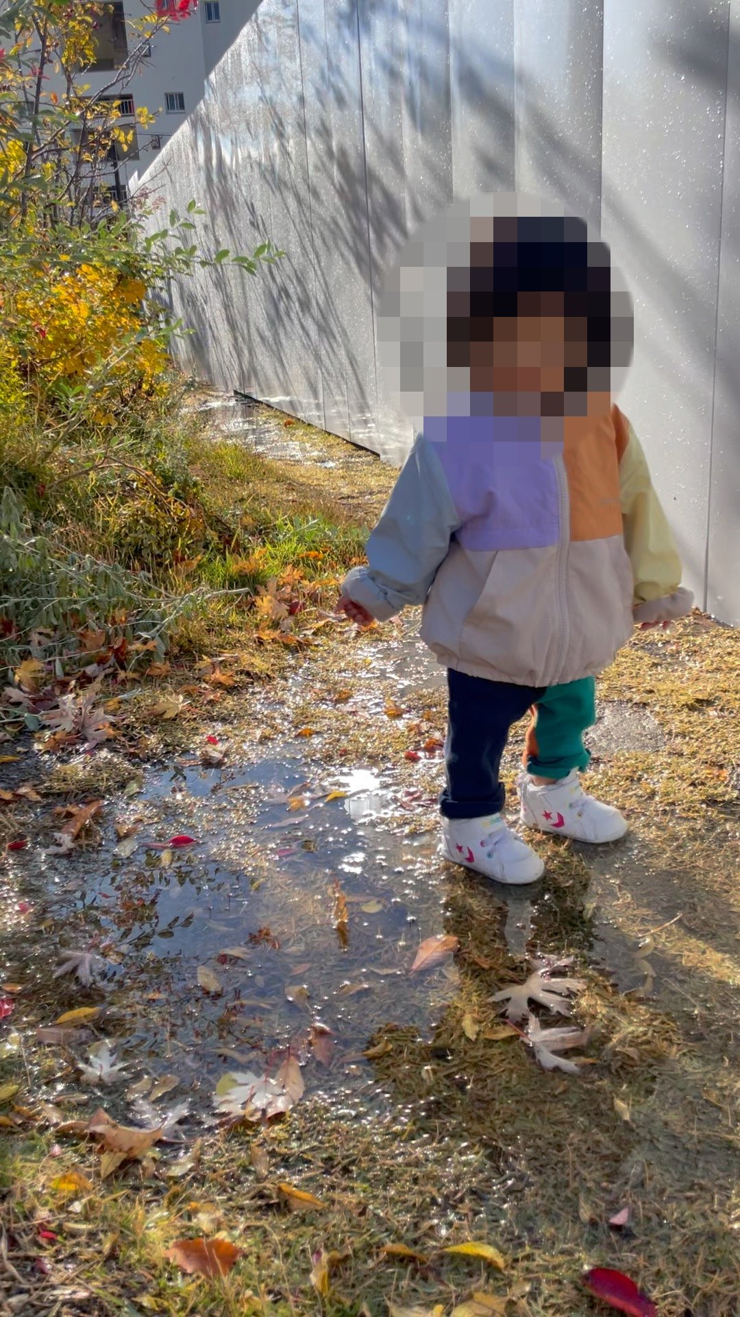水たまりの横を歩く1歳児
