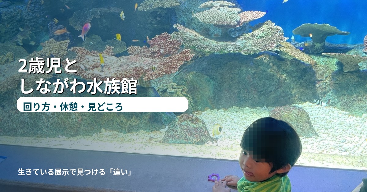 2歳児としながわ水族館のアイキャッチ画像
