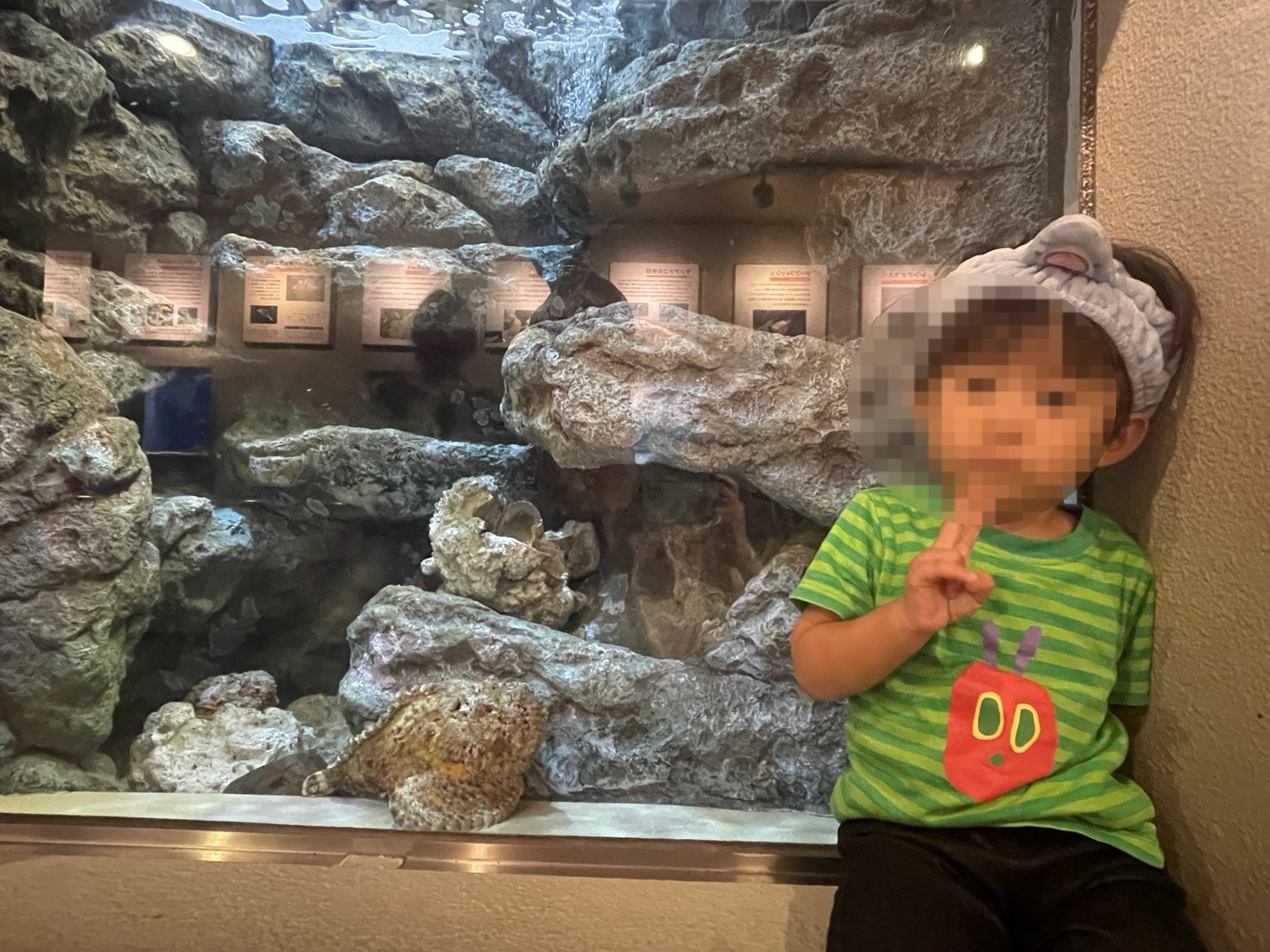しながわ水族館のタコの水槽と2歳児