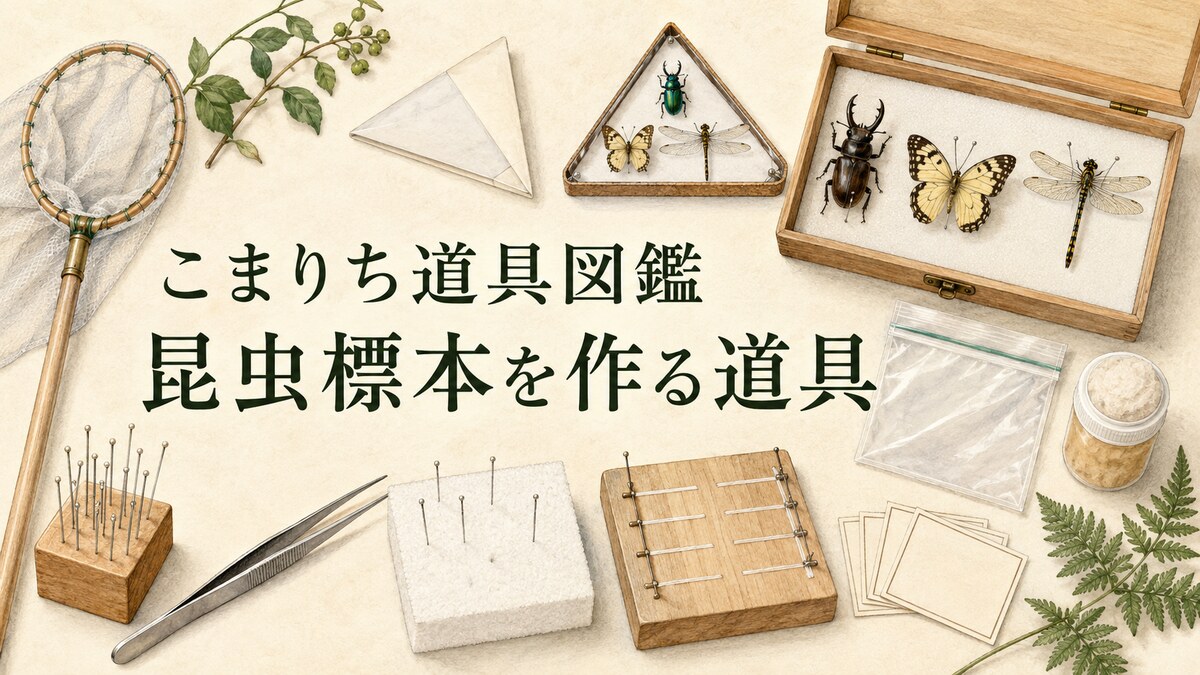 こまりち道具図鑑