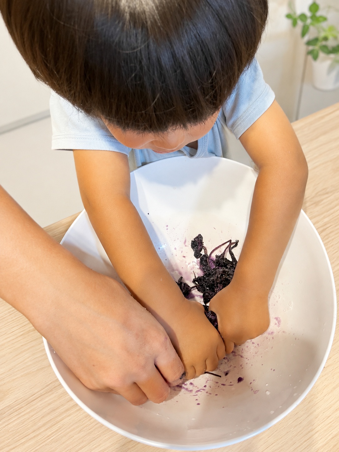 大人と2歳児が一緒に赤しそを塩もみしている様子